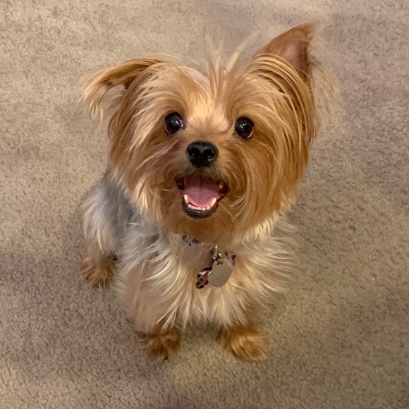 About me! :) - Picture 2 of 2